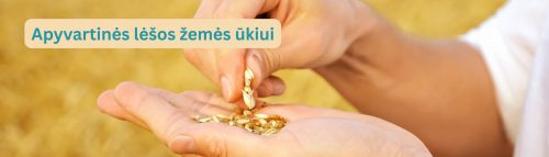 Apyvartinių Lėšų Finansavimas (1)